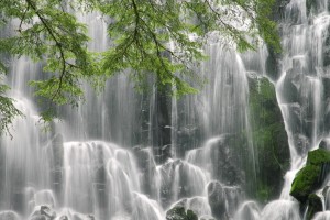 世界拳击退役支持基金成立：选手生活保障更完善，拳击选手退役后